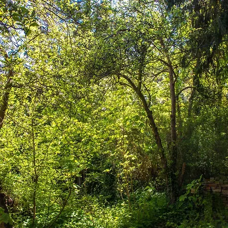 Auberge de jeunesse Redlowo